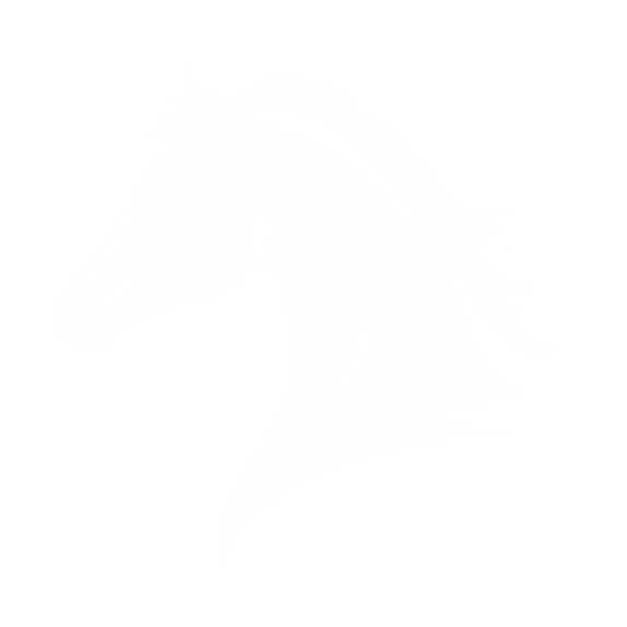 PEGAZZUS